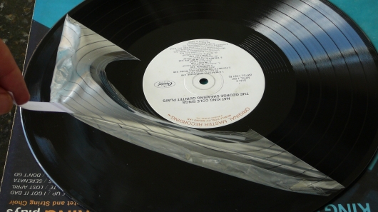 Maagdelijk vinyl met Record Revirginizer