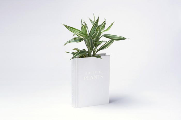book-2