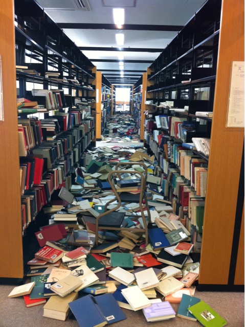 Galerij van omgevallen boekenkasten